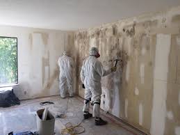 Dehumidification Services in Rio Vista, TX